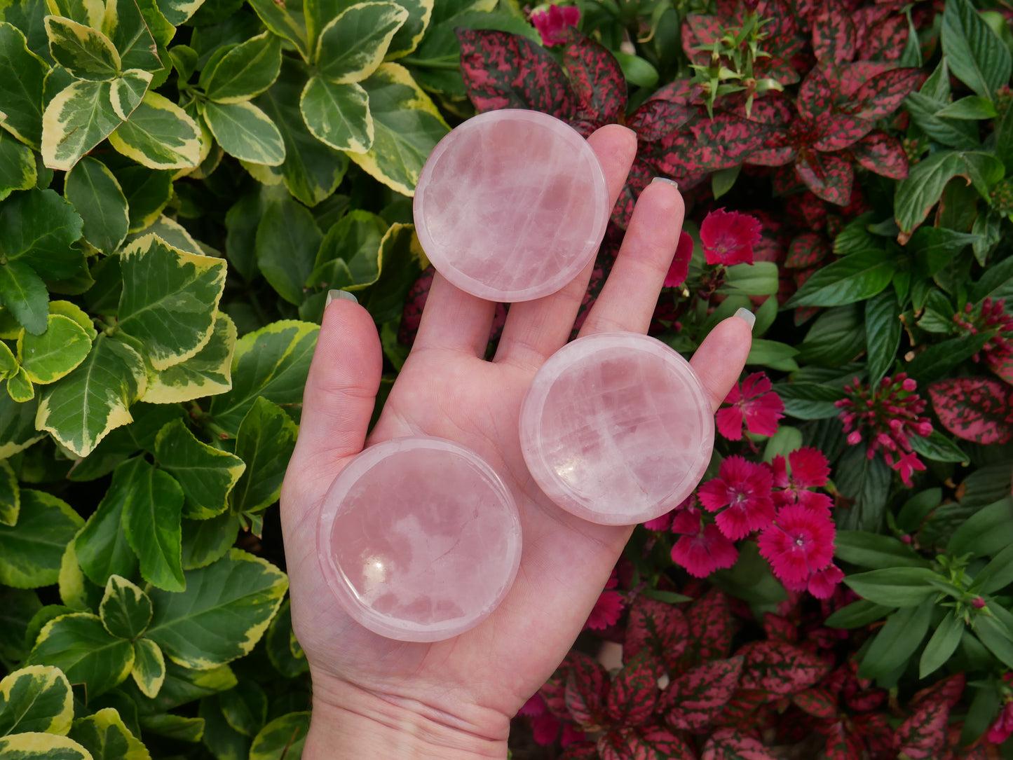 Rose Quartz Shallow Bowls