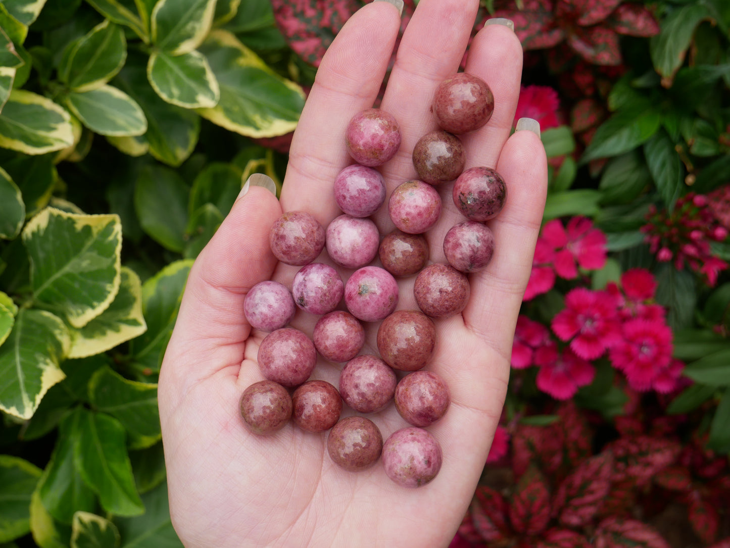 Rhodonite Small Spheres