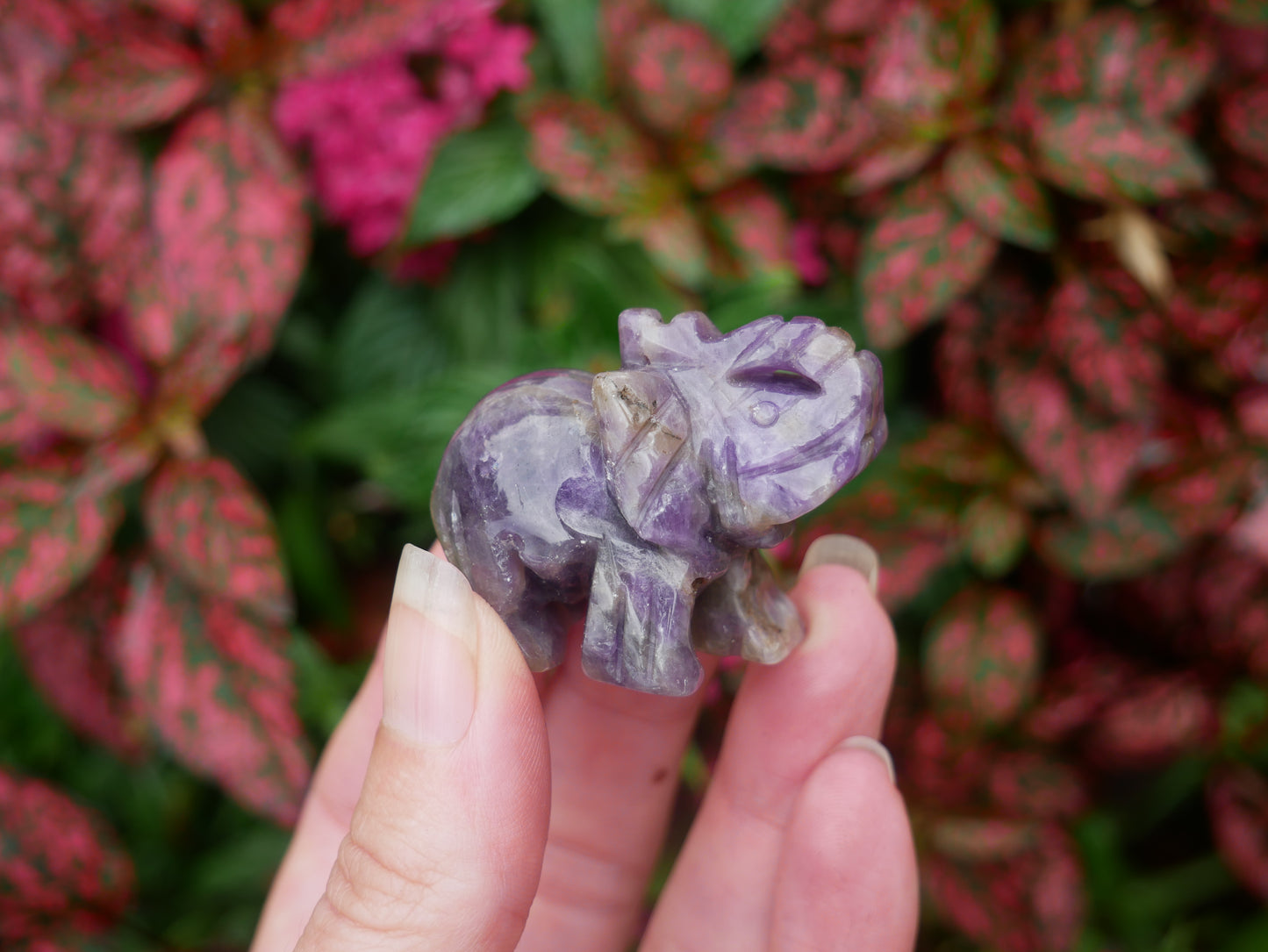 Amethyst Elephants - Spirit Animals