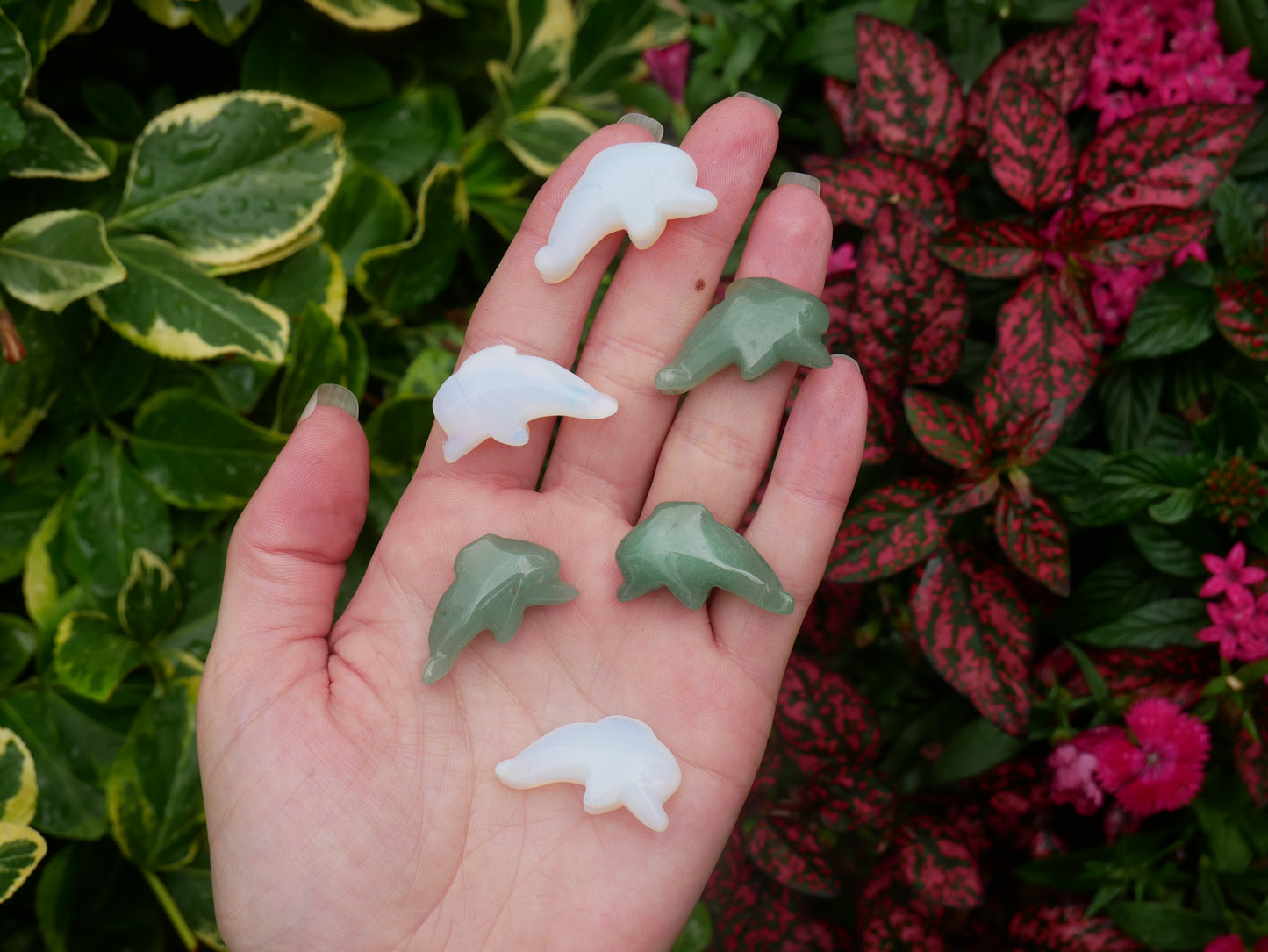 Crystal Dolphins - Spirit Animals