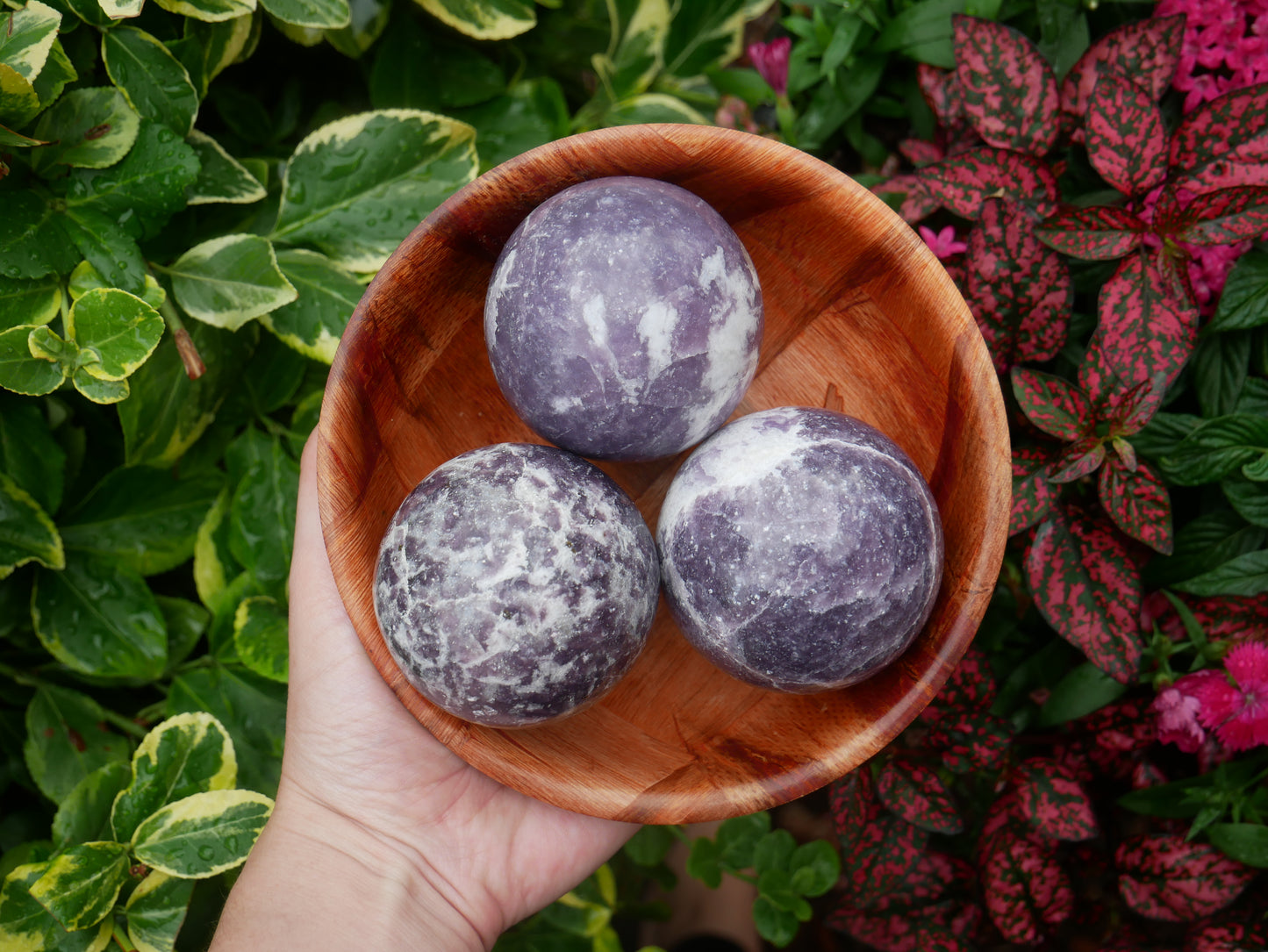Lepidolite Spheres