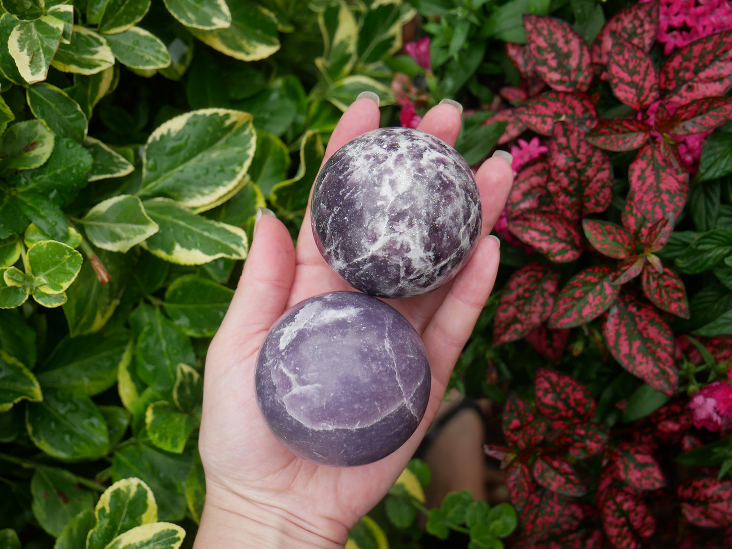 Lepidolite Spheres