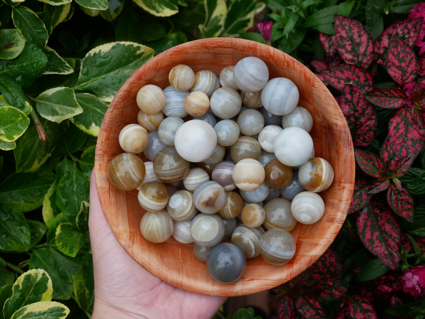 Botswana Agate Mini Spheres