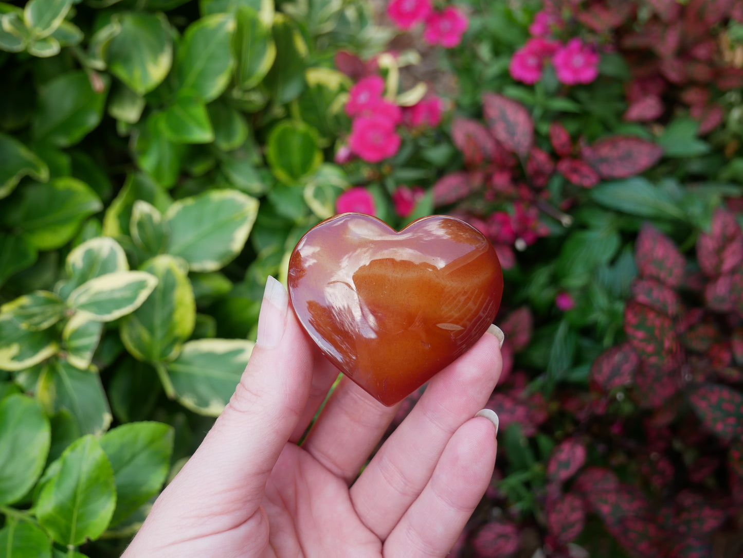 Carnelian Puffy Hearts Large