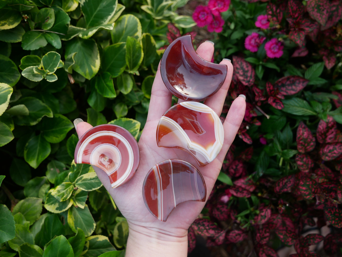 Carnelian Half Moon Shallow Bowls