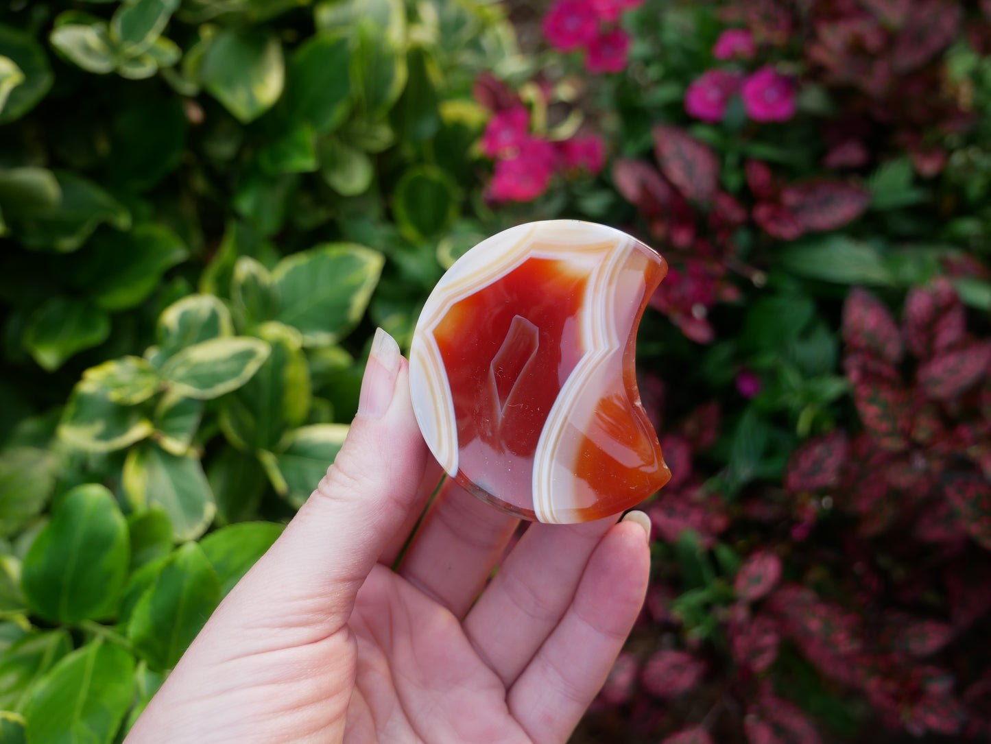 Carnelian Half Moon Shallow Bowls