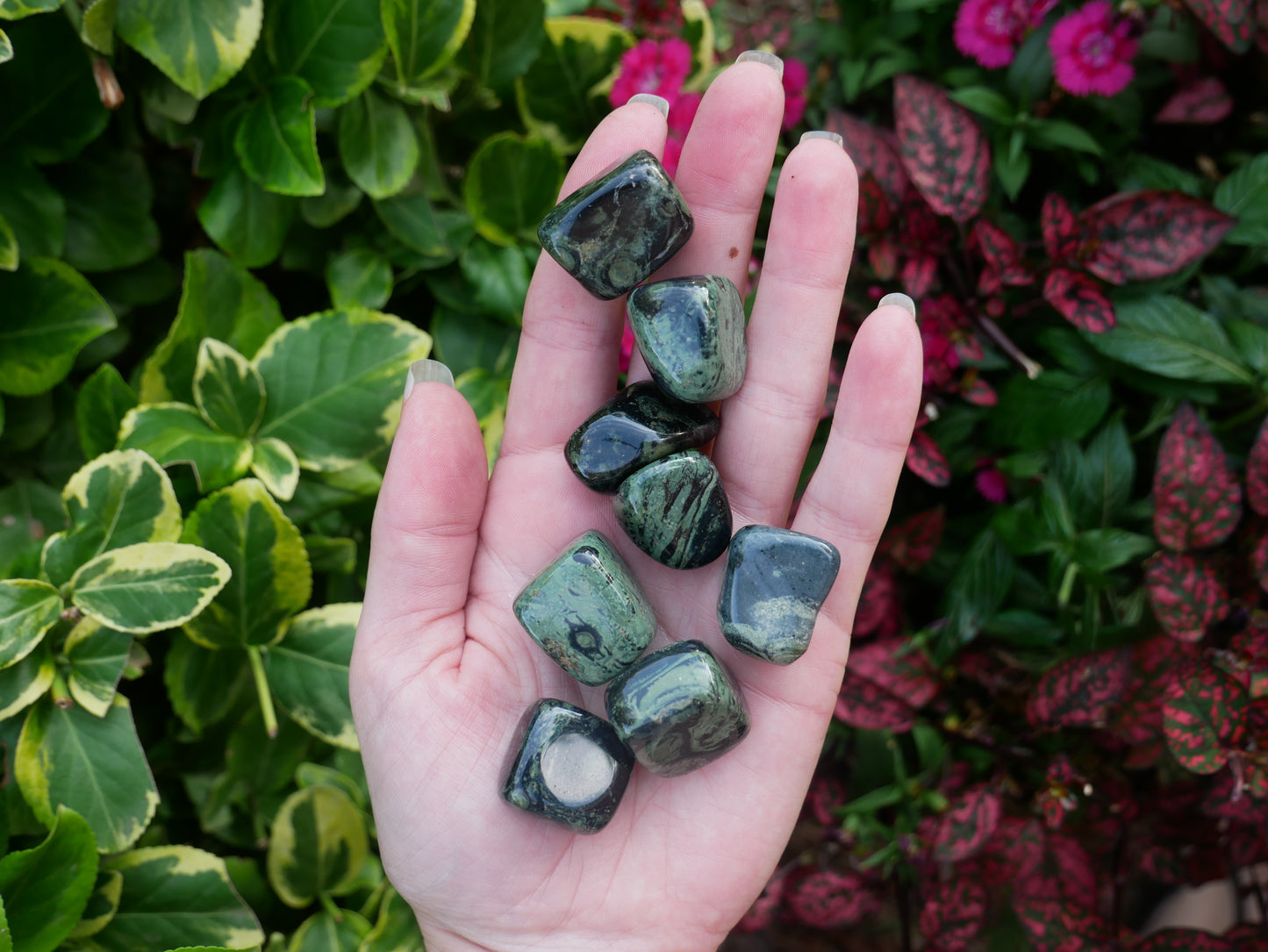 Kambaba Jasper Stones