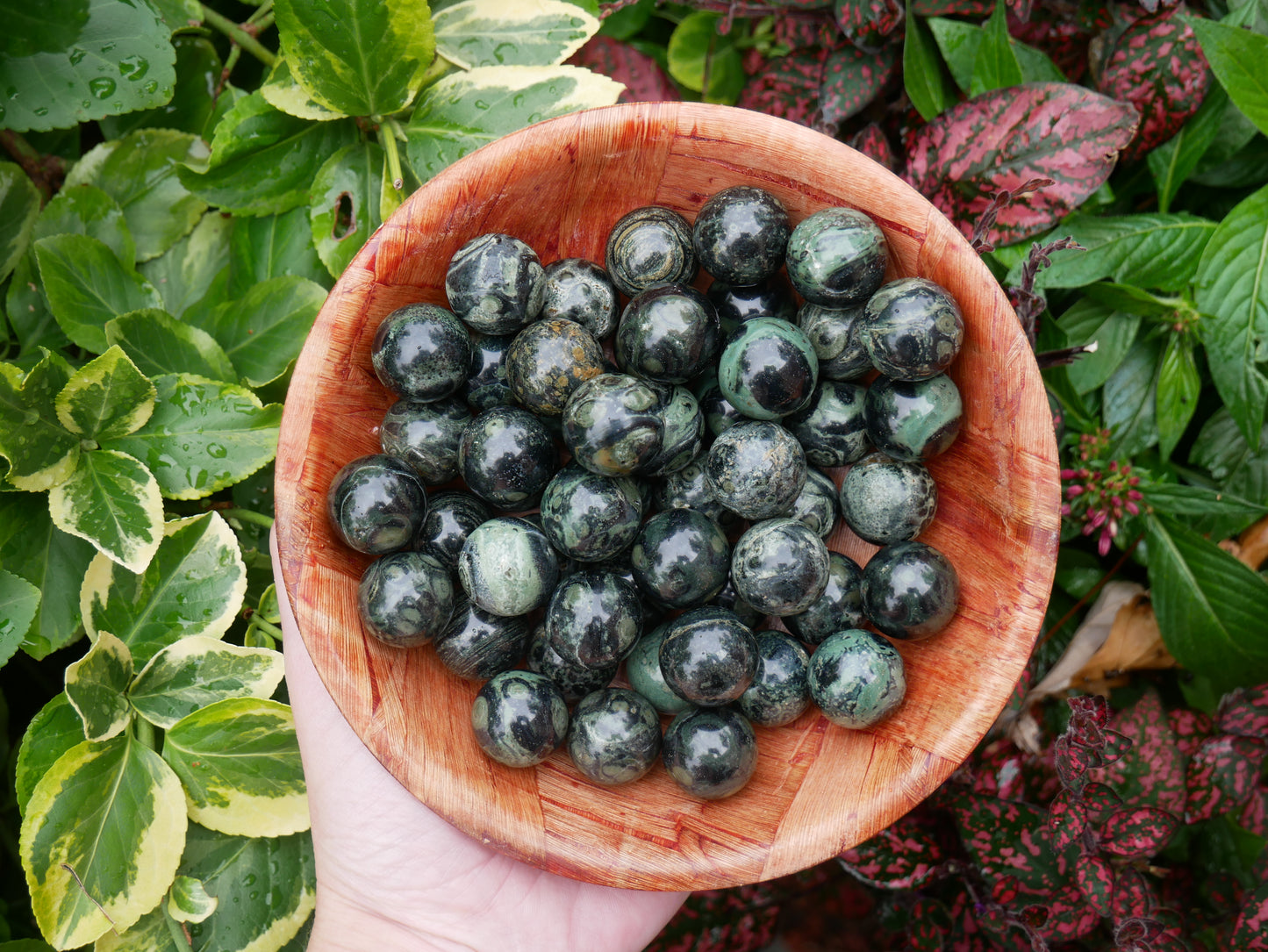 Kambaba Jasper Spheres