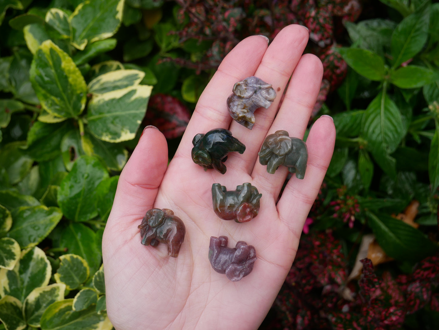 Ocean Jasper Elephants - Spirit Animals