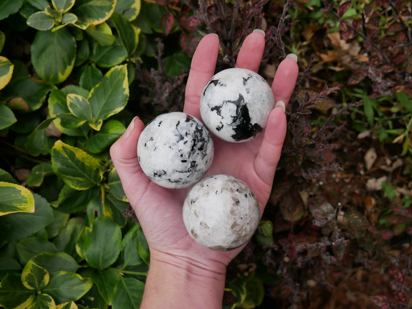 Rainbow Moonstone Spheres