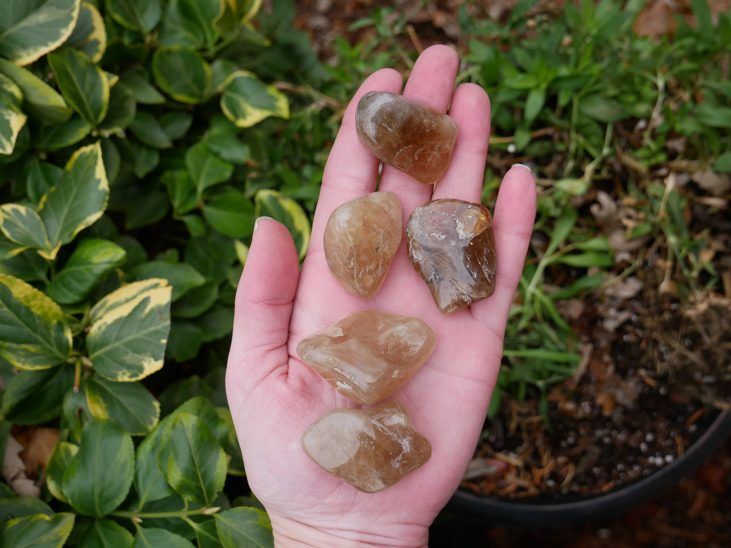 Citrine REAL UNTREATED Stones