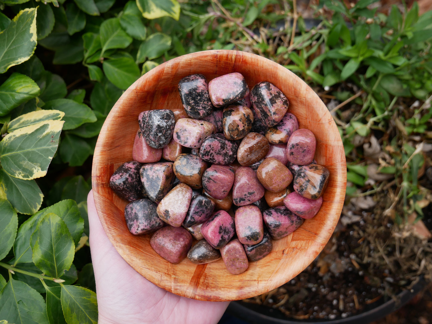 Rhodonite Tumbled Stones
