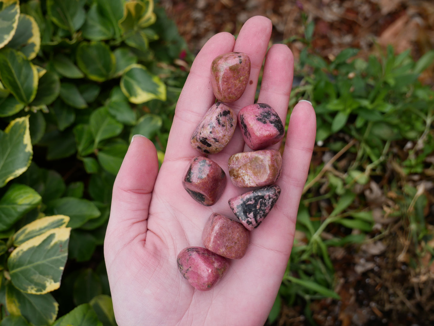 Rhodonite Tumbled Stones