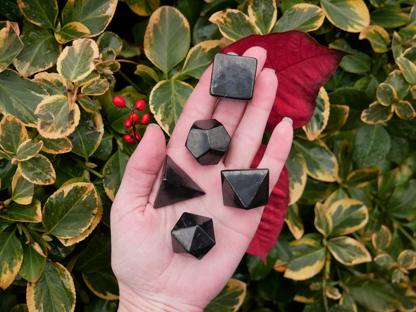 Shungite Platonic Solids