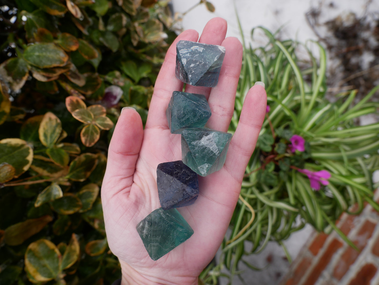 Fluorite Octahedron Large