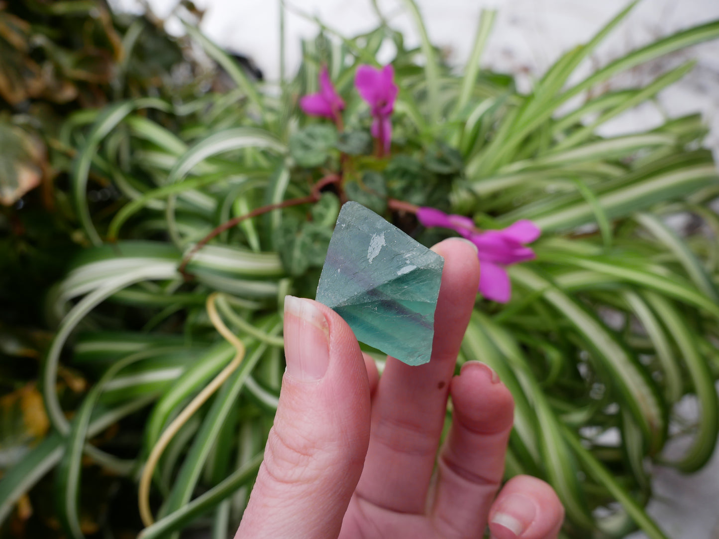 Fluorite Octahedron Large