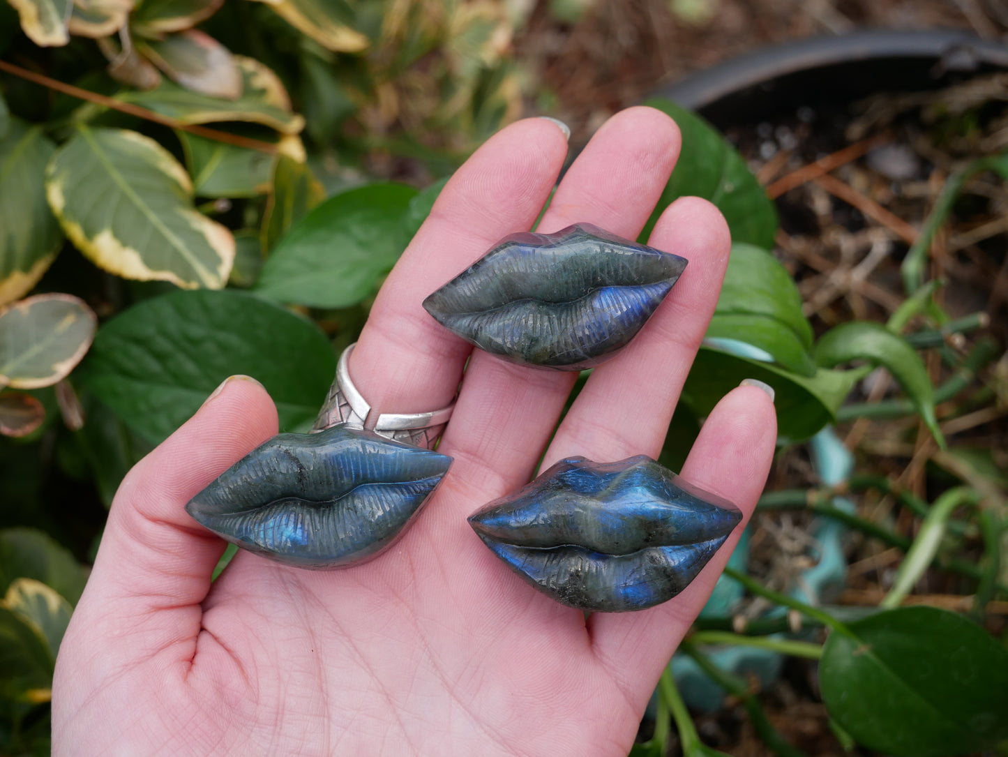 Labradorite FLASHY Lips