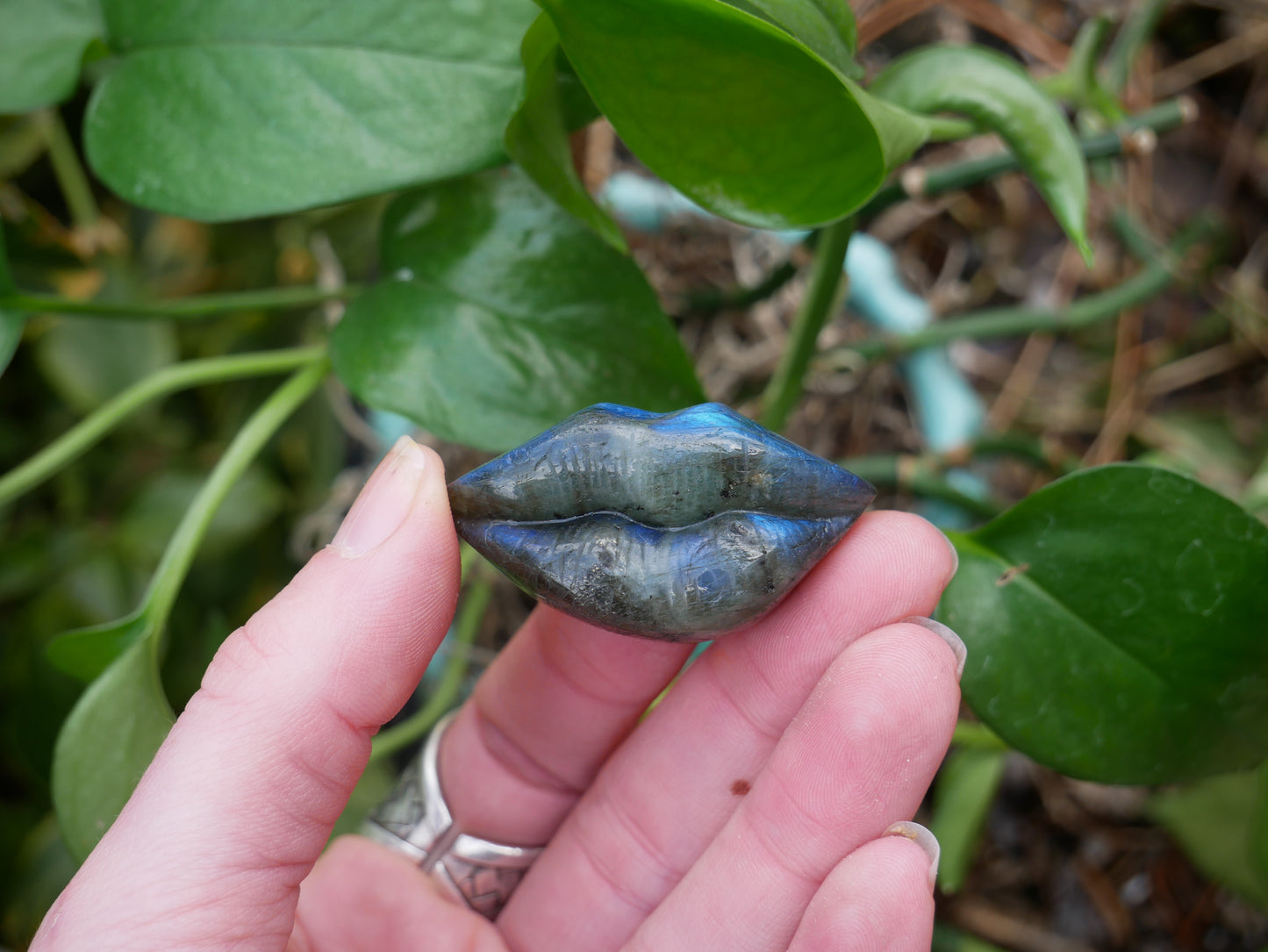 Labradorite FLASHY Lips