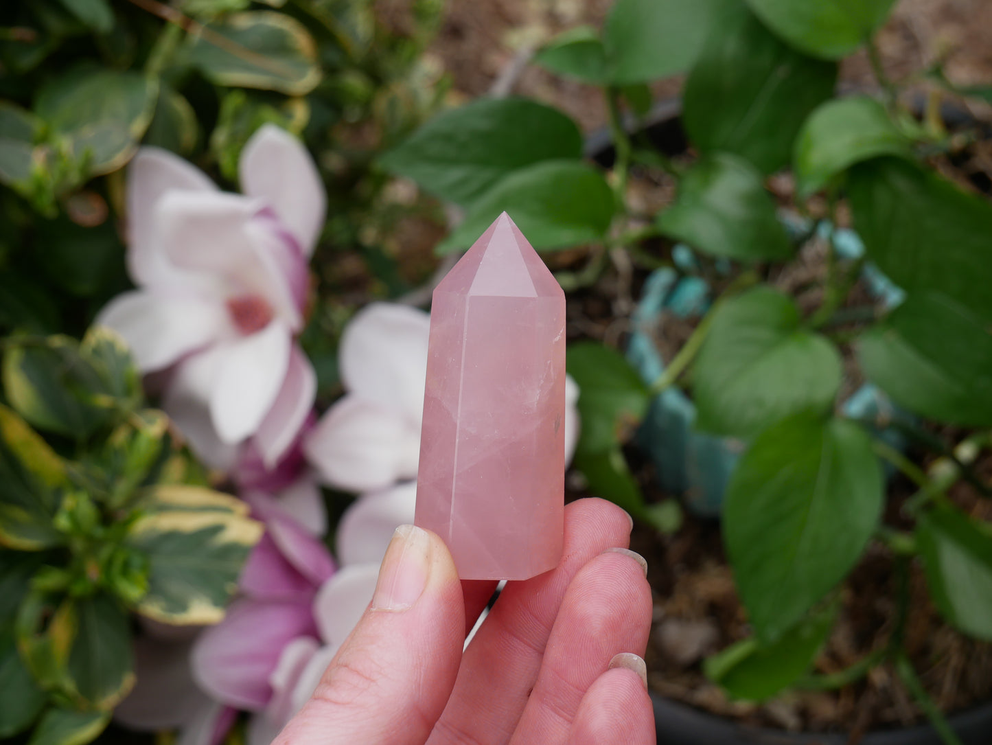 Rose Quartz Towers