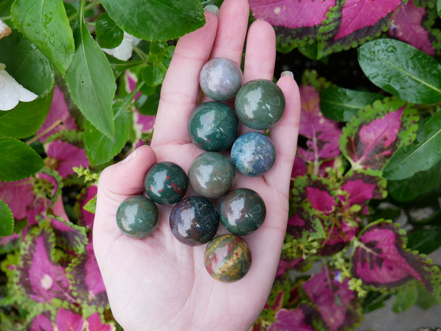 Jasper Fancy Mini Spheres - 1/2 Pound