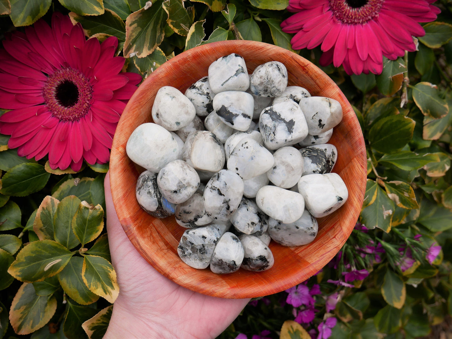 Rainbow Moonstone Stones