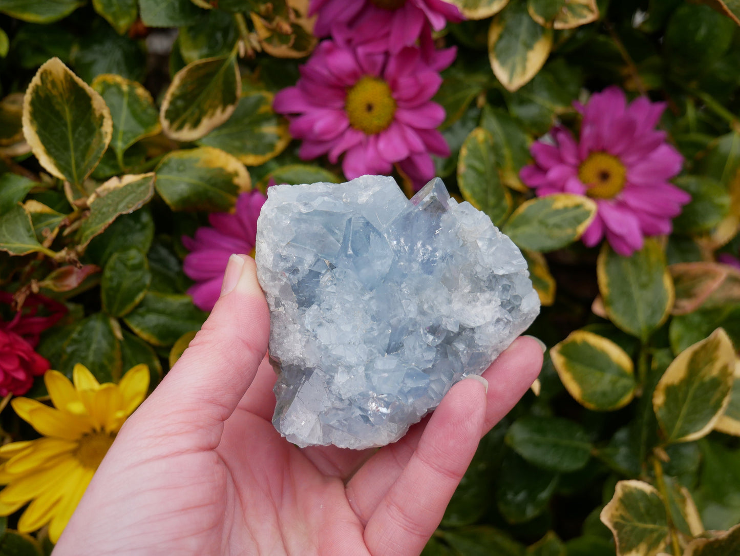 Celestite Druzy Clusters - The Healing Sanctuary
