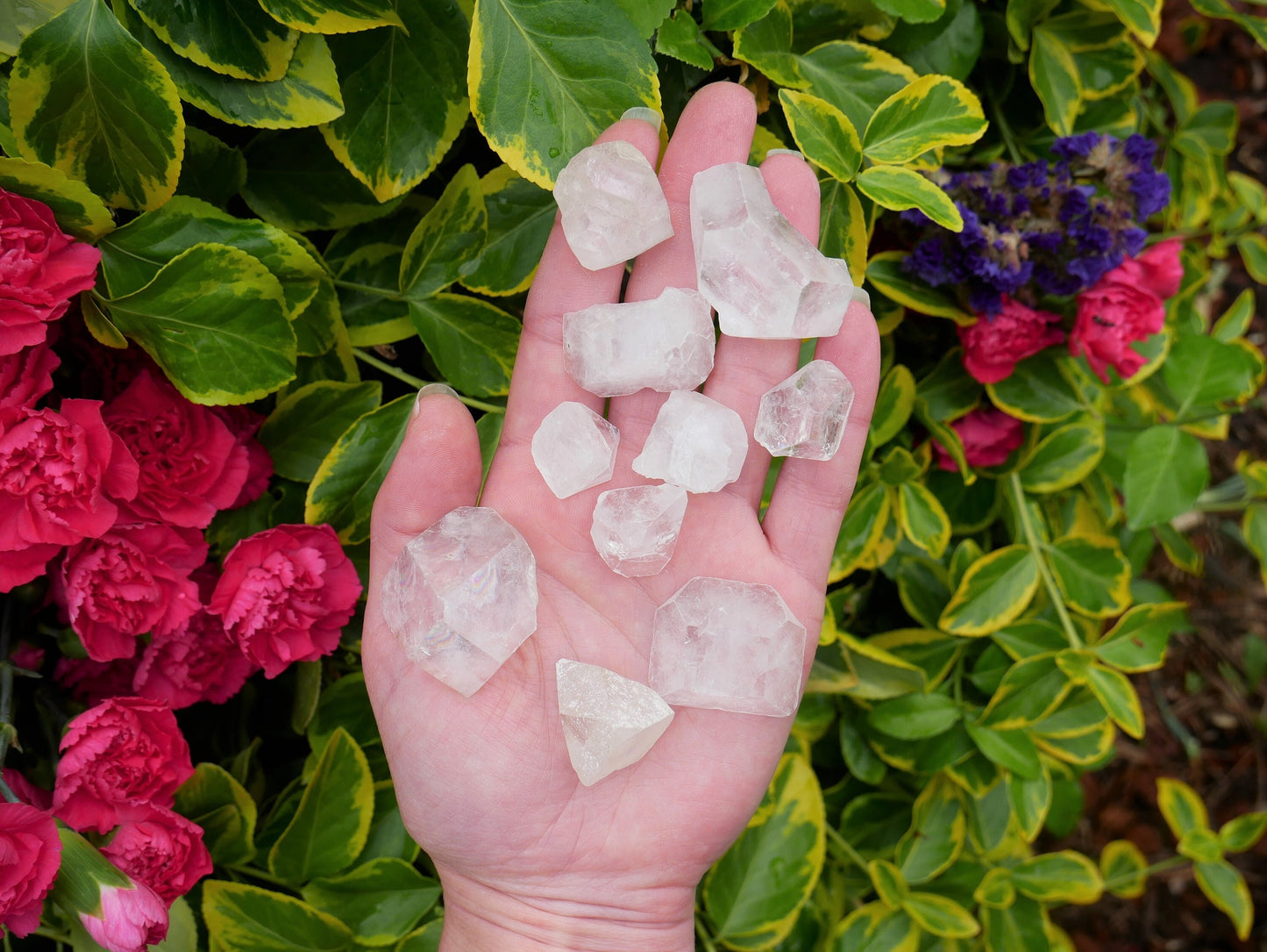 Apophyllite Points 3oz - The Healing Sanctuary
