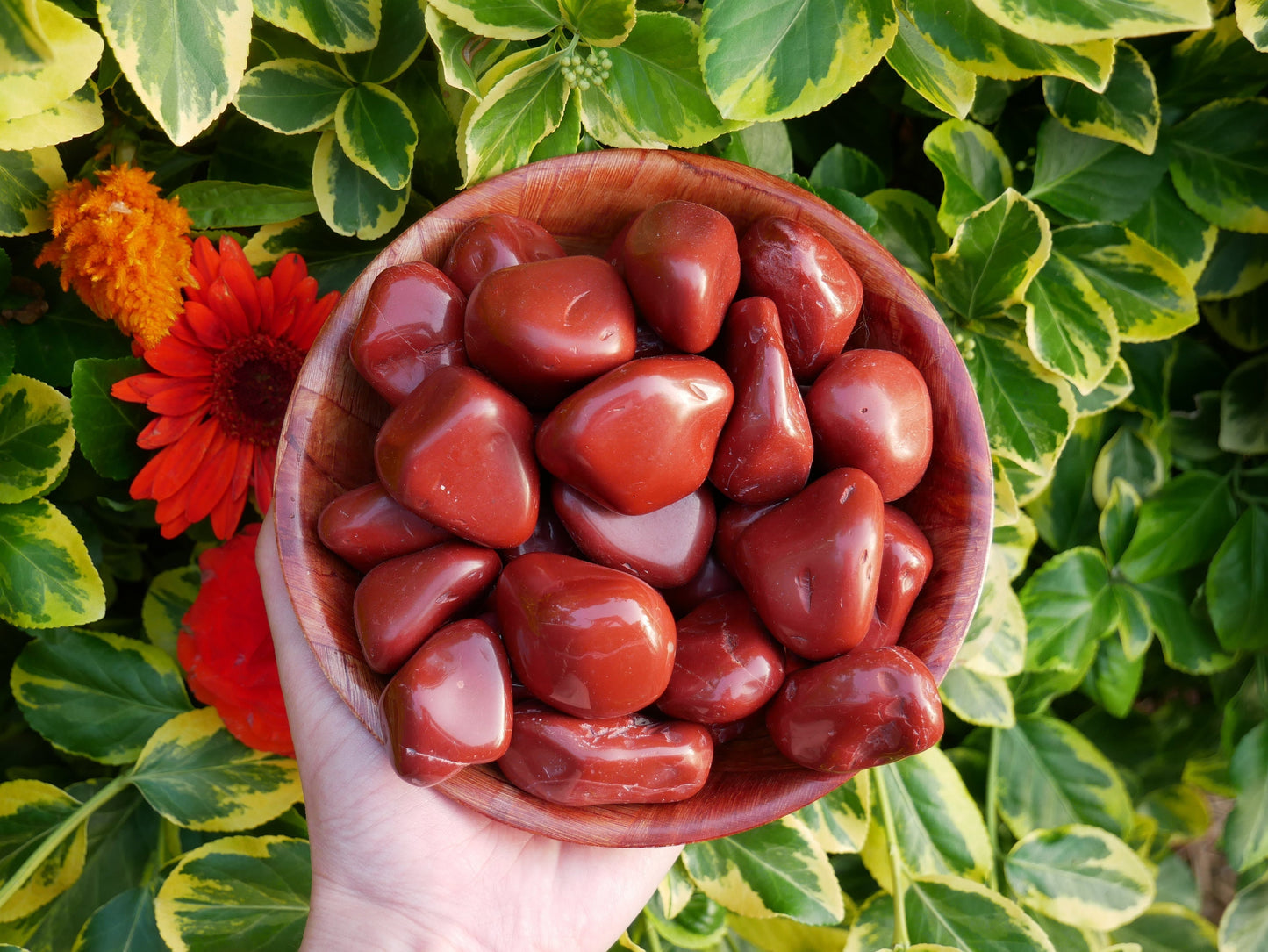 Red Jasper LARGE Stones