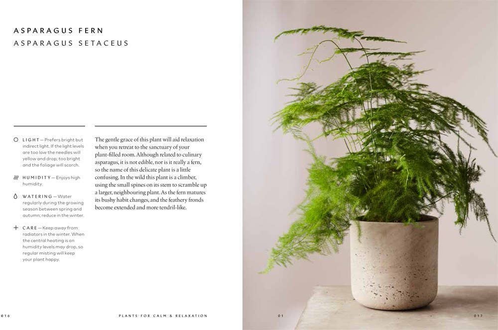 The Healing Power of Plants: Hardcover