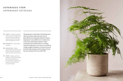 The Healing Power of Plants: Hardcover