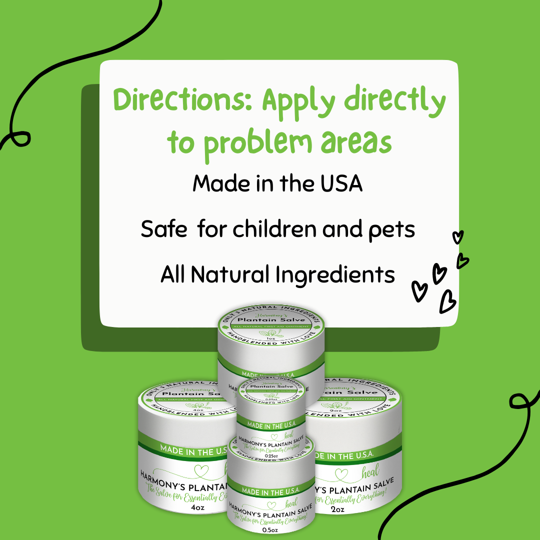 Plantain Salves: 0.25oz