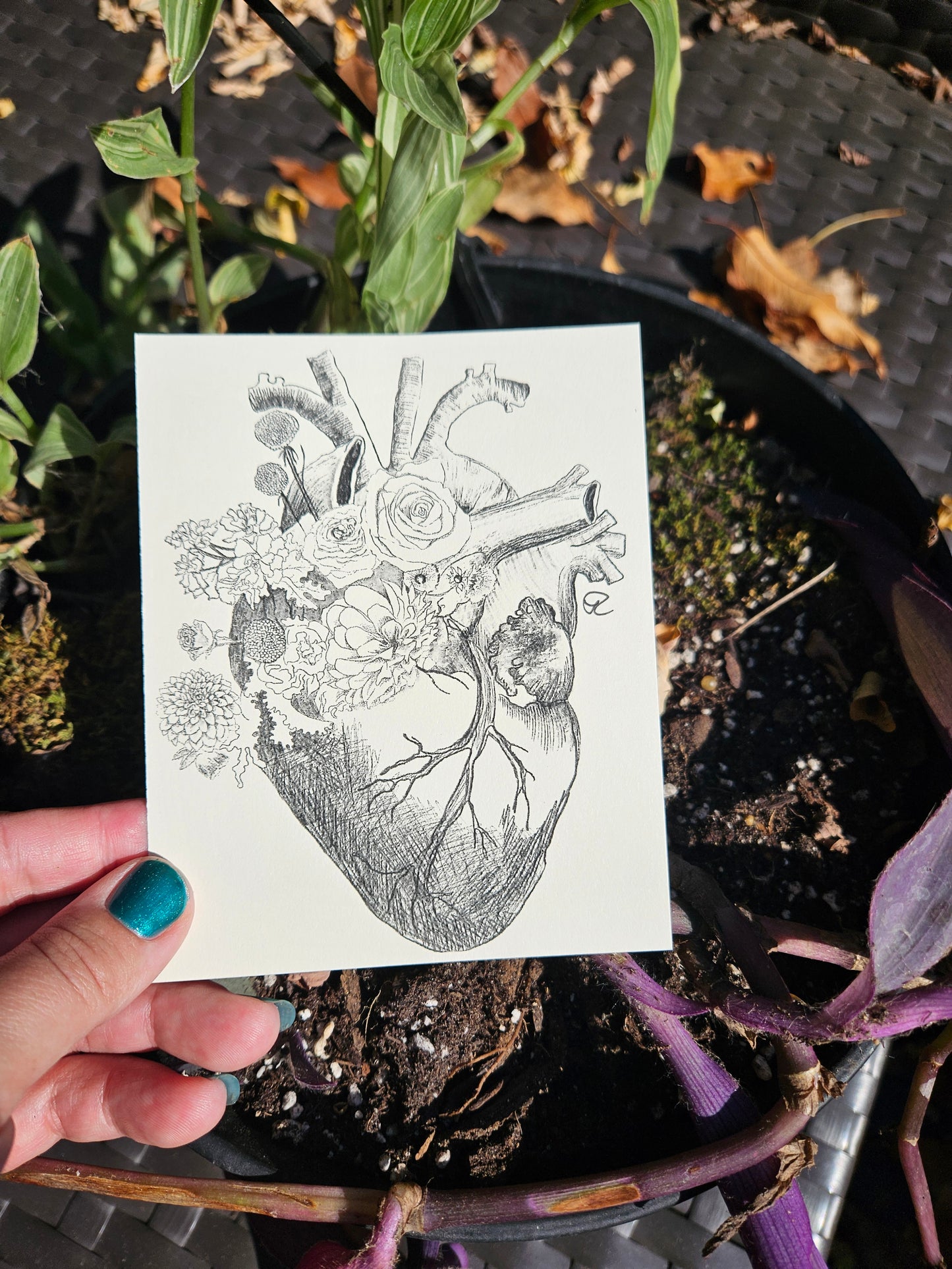 Hallow-gram Post Card Assorted