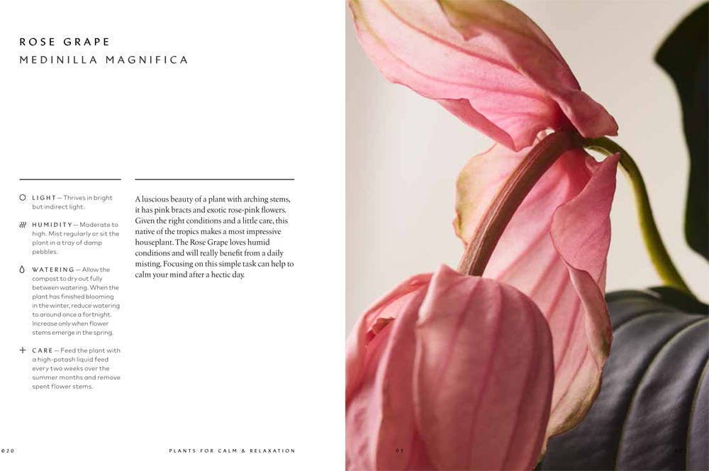 The Healing Power of Plants: Hardcover