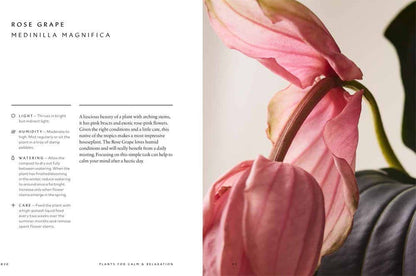 The Healing Power of Plants: Hardcover