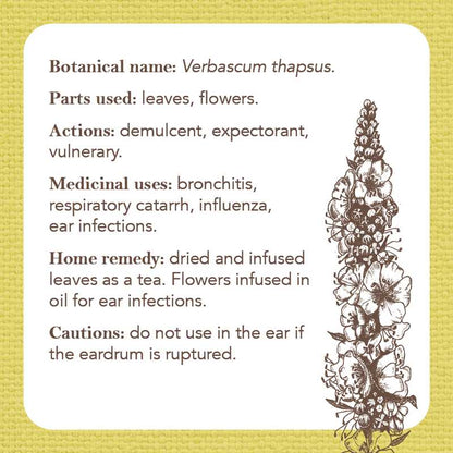 Apothecary Flashcards by Nicola McIntosh