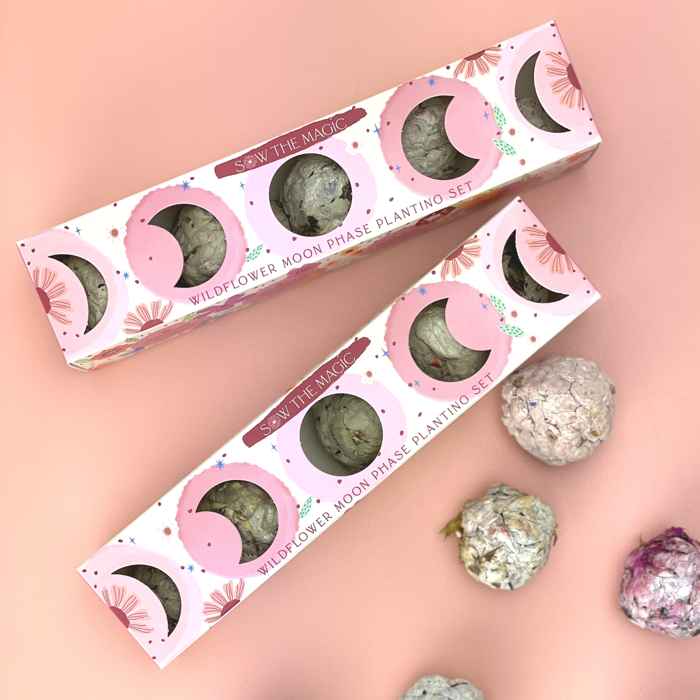 Moon Phase Wild Flower Seed Planting Set