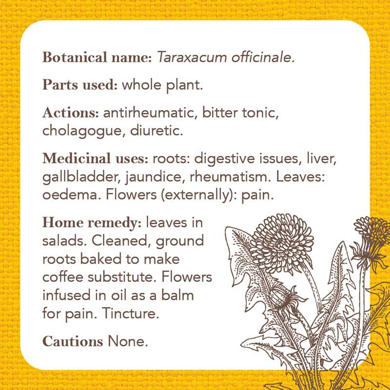 Apothecary Flashcards by Nicola McIntosh