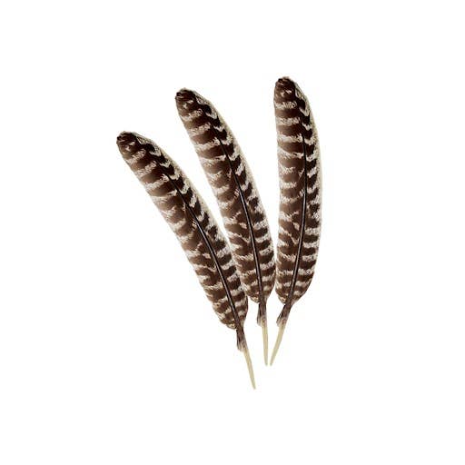 Smudge Feather, Turkey