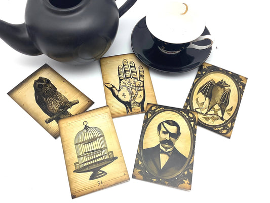 Tea and Halloween Horror Greeting Card Black Tea