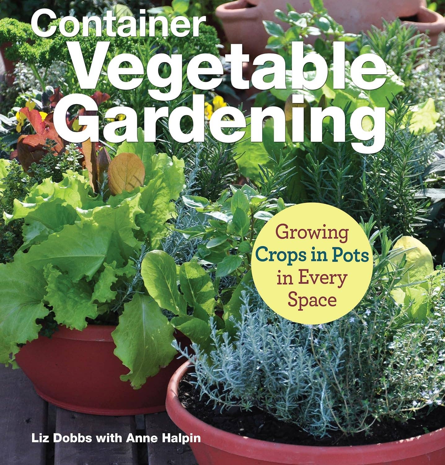 Container Vegetable Gardening - Growing Pots in Crops