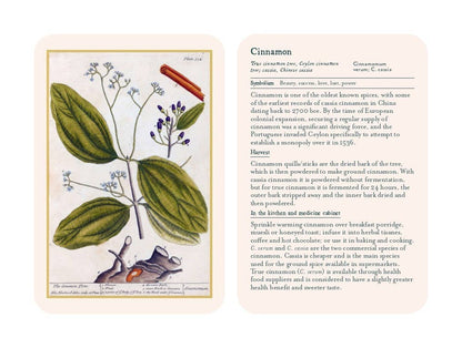 Healing Plants