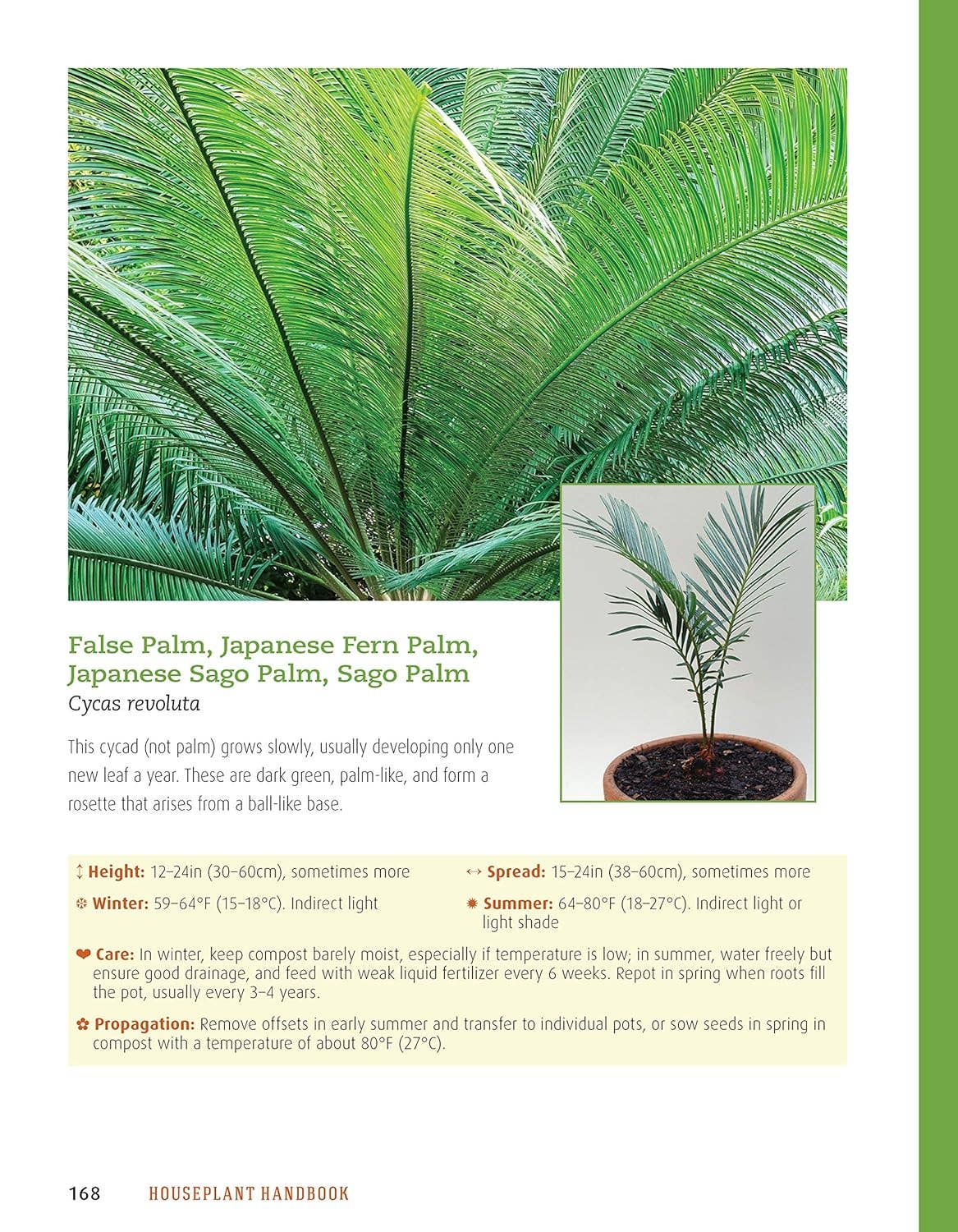 Houseplant Handbook - Basic Growing Techniques