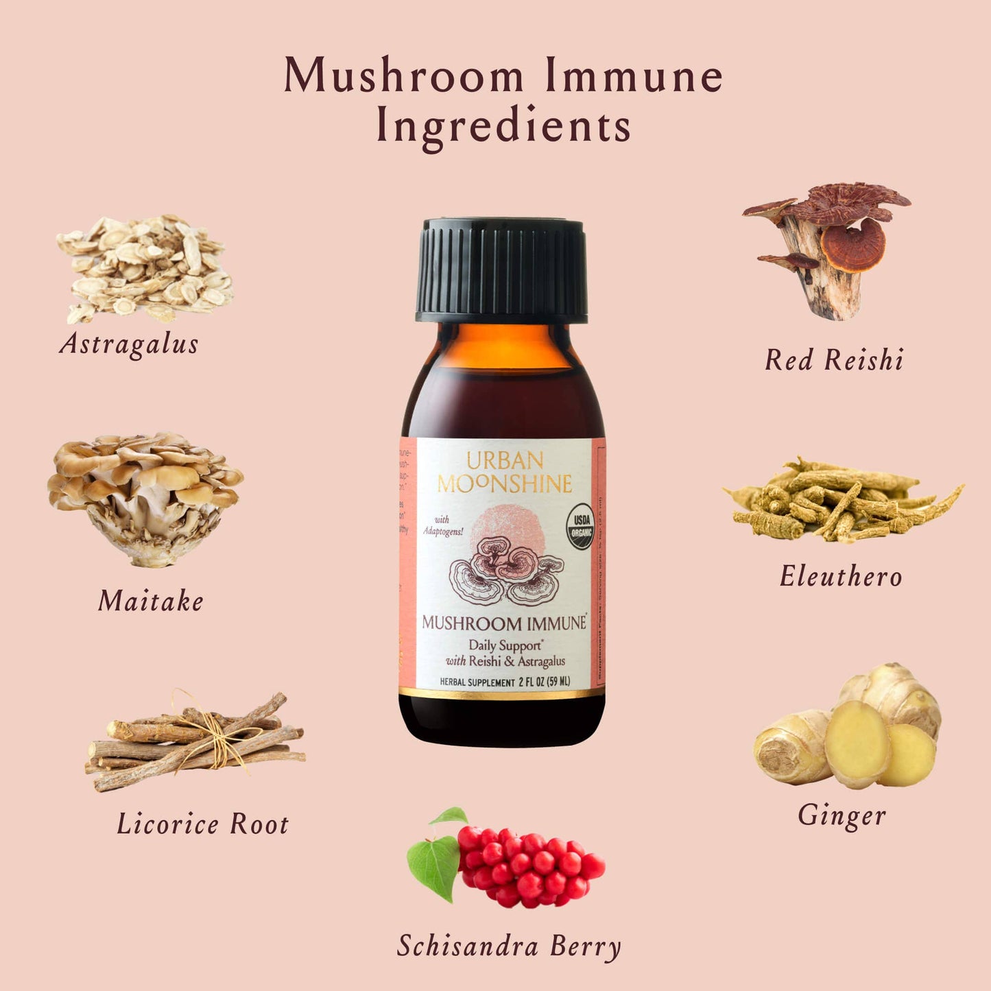Mushroom Immune: 2 fl oz