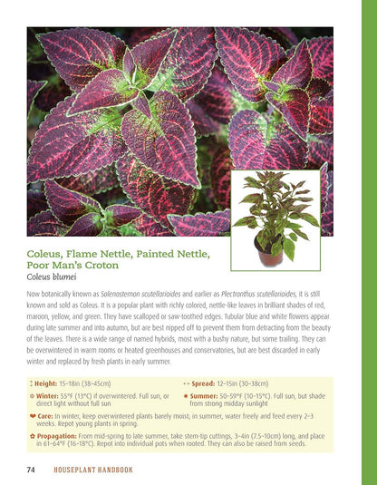Houseplant Handbook - Basic Growing Techniques