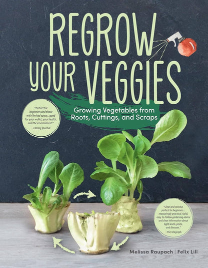 Regrow Your Veggies - Growing from Roots, Cuttings & Scraps