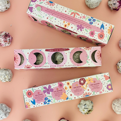 Moon Phase Wild Flower Seed Planting Set