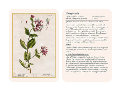 Healing Plants