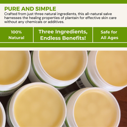 Plantain Salves: 0.25oz