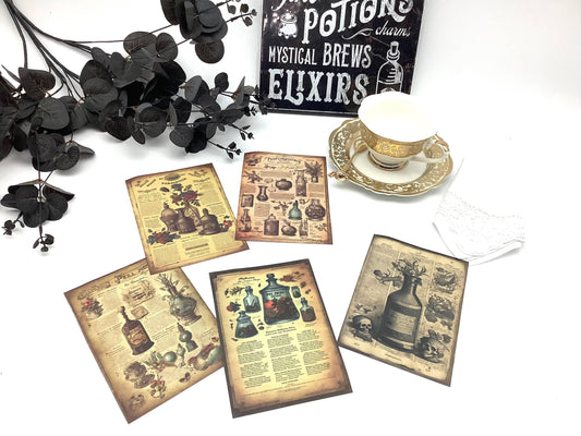 Potions Spells with Black Tea Pyramid