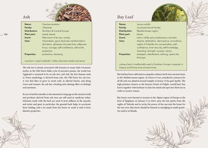 Complete Smudging Handbook by Markus Schirner: Paperback; 176 pages / English